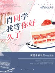 我从来没忘记你是什么歌