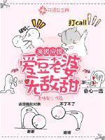 顶级应援爱豆老婆无敌甜免费