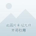 电竞大佬的佛系追妻路全文 电竞大佬的佛系追妻路全文