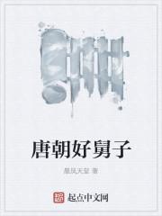 唐朝好舅子txt 唐朝好舅子txt