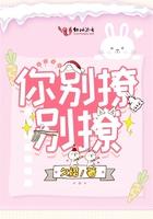 你别撩了番外
