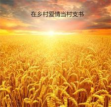 妖惑天下写的书怎么样 妖惑天下写的书怎么样