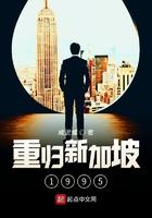 重归新加坡1995 重归新加坡1995